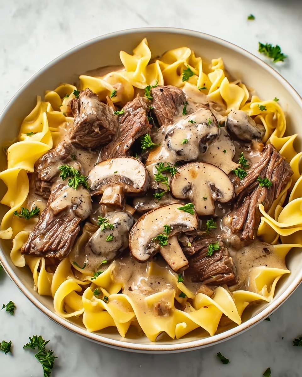 Beef Stroganoff with Egg Noodles Recipe - Recipe Image
