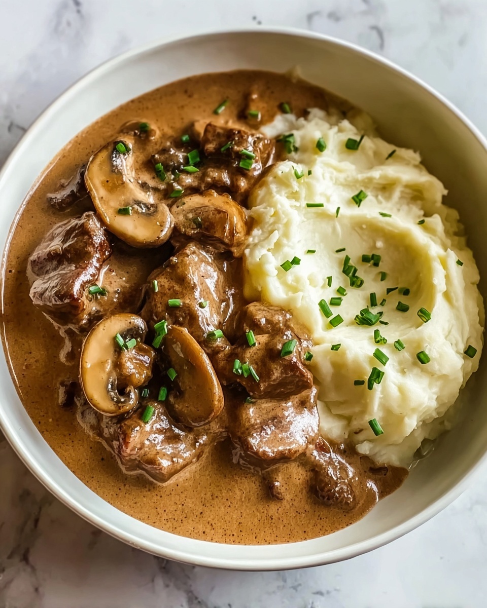 Slow Cooker Beef Stroganoff Recipe - Recipe Image