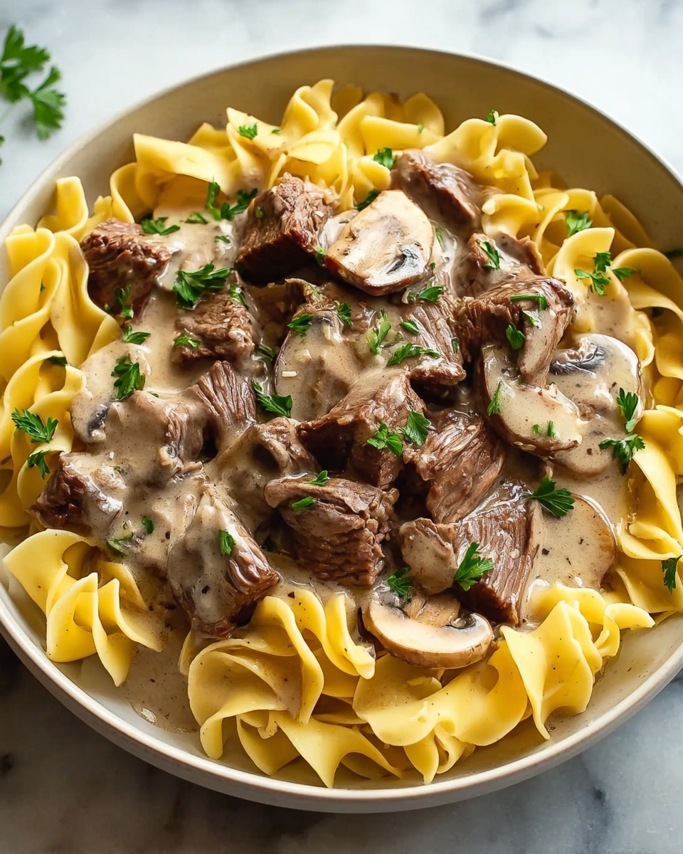 Beef Stroganoff with Egg Noodles Recipe - Recipe Image