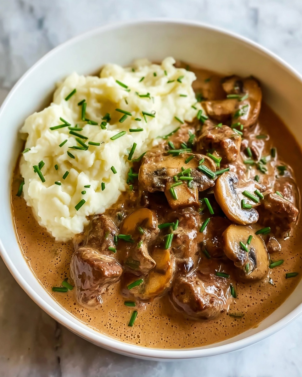 Slow Cooker Beef Stroganoff Recipe - Recipe Image