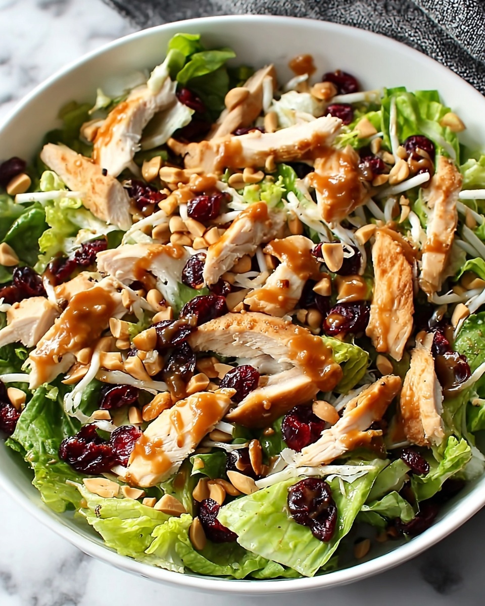 Asian Chicken Cranberry Salad Recipe - Recipe Image